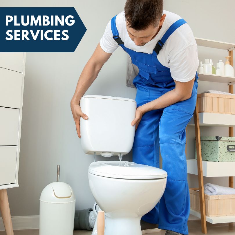 Plumbing Company in Wrights, IL